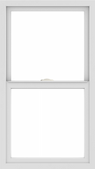 WDMA 24x42 (23.5 x 41.5 inch) Vinyl uPVC White Single Hung Double Hung Window without Grids Interior