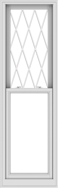 WDMA 24x78 (23.5 x 77.5 inch)  Aluminum Single Double Hung Window with Diamond Grids