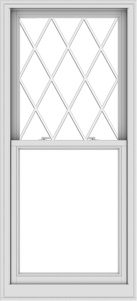 WDMA 30x66 (29.5 x 65.5 inch)  Aluminum Single Double Hung Window with Diamond Grids