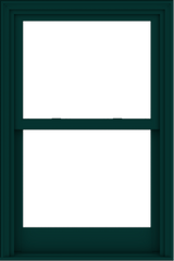 WDMA 32x48 (31.5 x 47.5 inch)  Aluminum Single Hung Double Hung Window without Grids-5