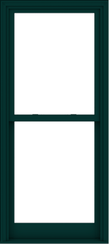 WDMA 32x72 (31.5 x 71.5 inch)  Aluminum Single Hung Double Hung Window without Grids-5