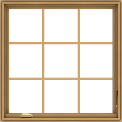 WDMA 34x34 (33.5 x 33.5 inch) Pine Wood Dark Grey Aluminum Crank out Casement Window without Grids