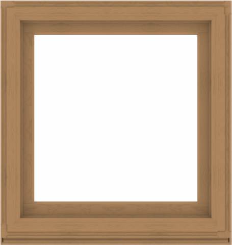 WDMA 38x40 (37.5 x 39.5 inch) Composite Wood Aluminum-Clad Picture Window without Grids-1