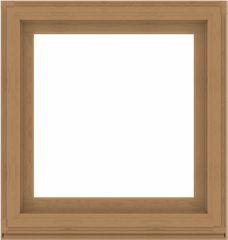 WDMA 38x40 (37.5 x 39.5 inch) Composite Wood Aluminum-Clad Picture Window without Grids-1