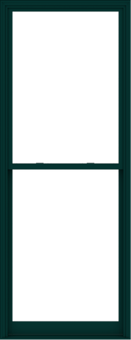 WDMA 44x114 (43.5 x 113.5 inch)  Aluminum Single Hung Double Hung Window without Grids-5