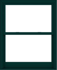 WDMA 44x54 (43.5 x 53.5 inch)  Aluminum Single Hung Double Hung Window without Grids-5