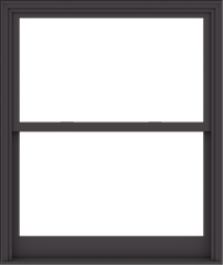 WDMA 48x57 (47.5 x 56.5 inch)  Aluminum Single Hung Double Hung Window without Grids-3