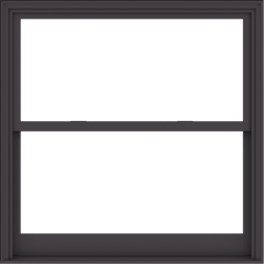 WDMA 54x54 (53.5 x 53.5 inch)  Aluminum Single Hung Double Hung Window without Grids-3