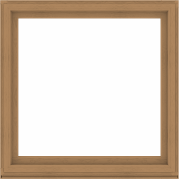 WDMA 56x56 (55.5 x 55.5 inch) Composite Wood Aluminum-Clad Picture Window without Grids-1