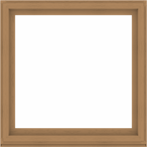 WDMA 56x56 (55.5 x 55.5 inch) Composite Wood Aluminum-Clad Picture Window without Grids-1