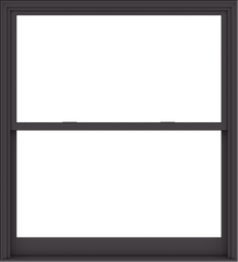 WDMA 60x66 (59.5 x 65.5 inch)  Aluminum Single Hung Double Hung Window without Grids-3