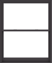 WDMA 60x72 (59.5 x 71.5 inch)  Aluminum Single Hung Double Hung Window without Grids-3