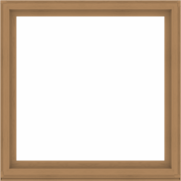 WDMA 64x64 (63.5 x 63.5 inch) Composite Wood Aluminum-Clad Picture Window without Grids-1