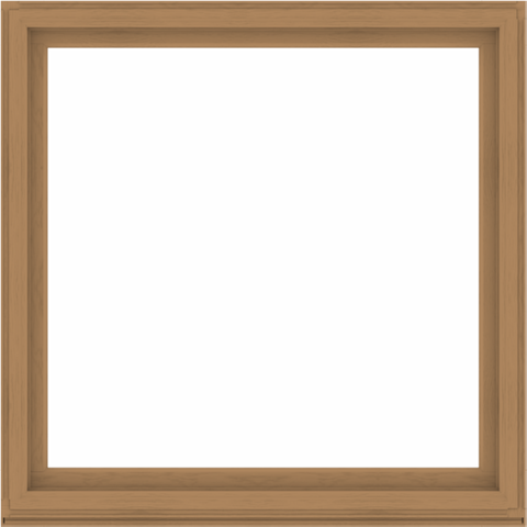 WDMA 64x64 (63.5 x 63.5 inch) Composite Wood Aluminum-Clad Picture Window without Grids-1