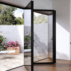 Australia Standard hot model double glass aluminum bifolding door on China WDMA