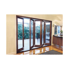 China Top Brand Aluminum Alloy patio folding storm glass door on China WDMA