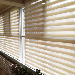 China product motorized pleated fabric zebra blinds window for french door on China WDMA