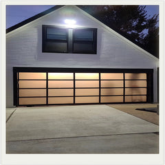 China WDMA Customized modern design steel garage door