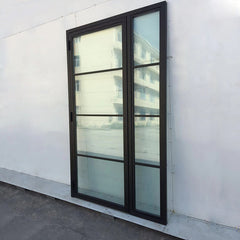 WDMA French Style Interior Door Sliding Glass Residential Steel Door Manufacturer