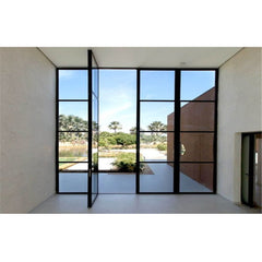 WDMA Modern Design Exterior Security Steel Door Price  steel window and door