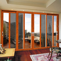 WDMA accordion screen sliding door for home