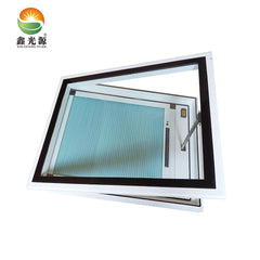 Hide motor frame toughened glass skylight with high quality basement window on China WDMA