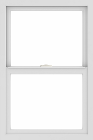 WDMA 24x36 (23.5 x 35.5 inch) White aluminum Single and Double Hung Window without grids interior