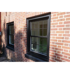 WDMA Customized Replace Glass Vertical Sliding Aluminum Frame Windows With Latch Lock On Sales