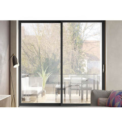 WDMA Frameless Glass Door