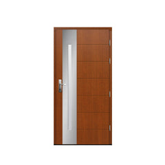 WDMA indian door designs