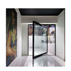 China WDMA Aluminium Pivot Door